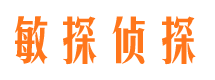 泗水调查公司